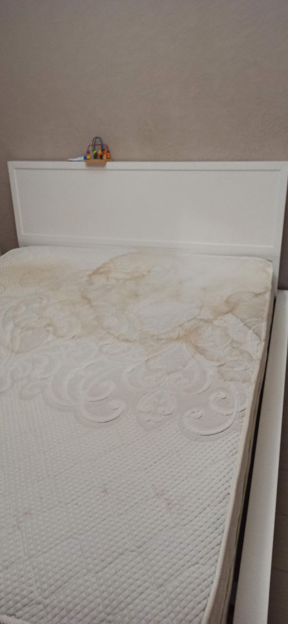 Acarienii din saltele